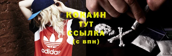 apvp Нея