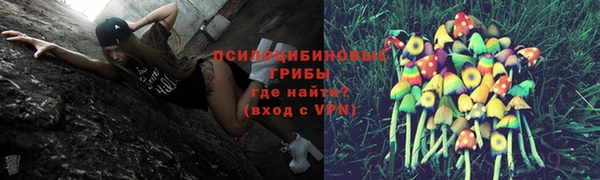 ПСИЛОЦИБИНОВЫЕ ГРИБЫ Нефтегорск